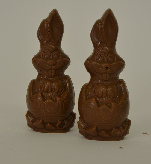 Picture of Bunny in egg (dairy free)
